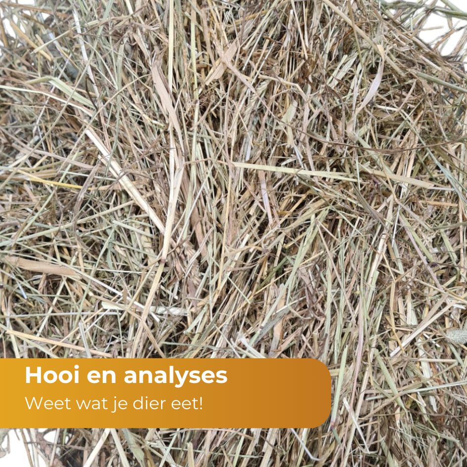 geanalyseerd hooi